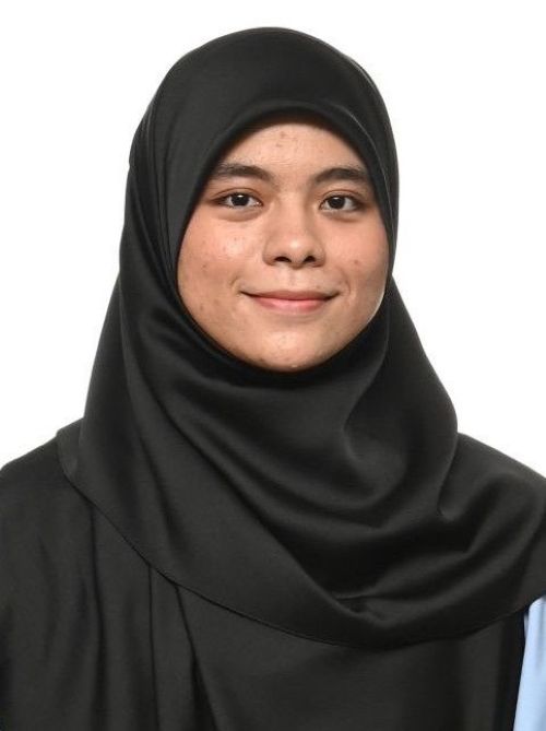 Siti Nafisah binti Tarmizi